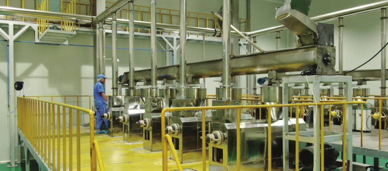 OUGUO PEANUT OIL WORKSHOP