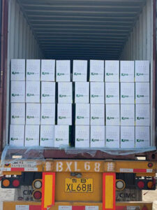 peanut-container-shipping