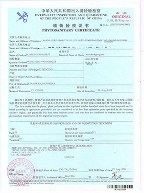 phytosantary-certificate