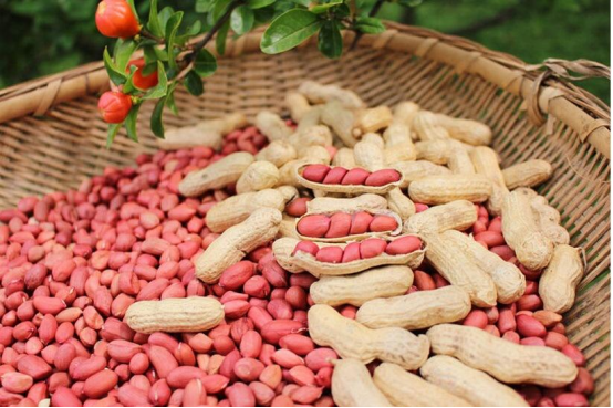 red peanut